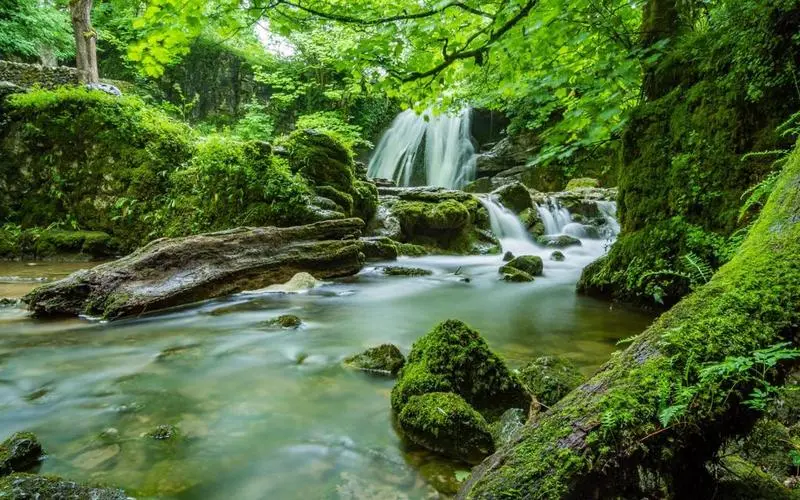 高端高标准高标准